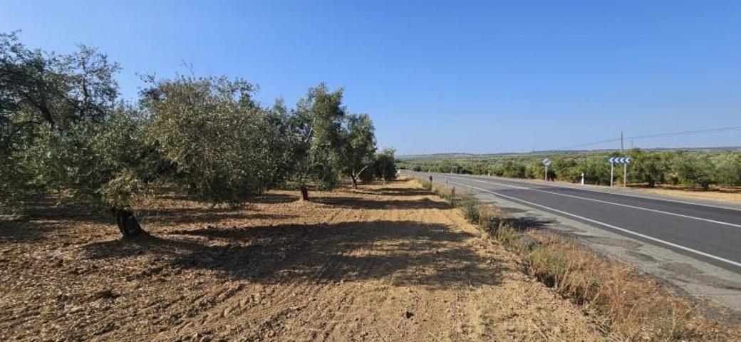 Terreno en venta en Gibraleón, Gibraleon photo 0