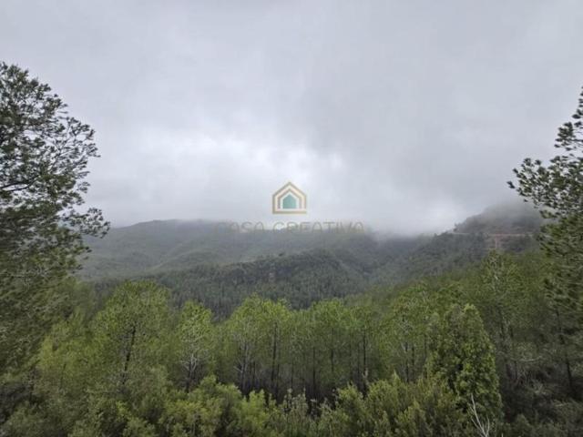 Casa en venta en Fuentes de Ayódar photo 0