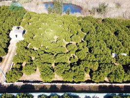 Terreno en venta en Pego photo 0