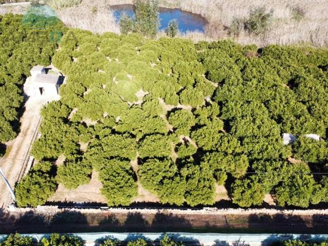 Terreno en venta en Pego photo 0