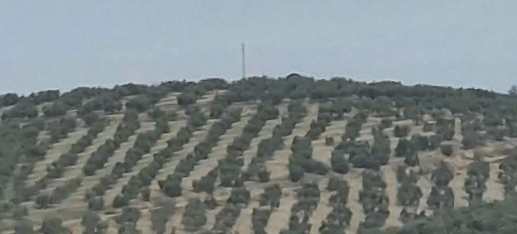 Chalet en venta en Quesada, Rustica - El Pago photo 0