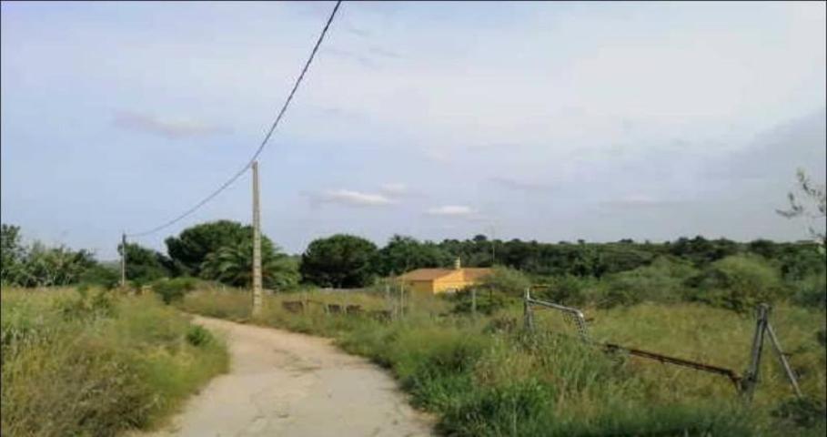 Terreno en venta en Monserrat, Comunidad valenciana photo 0