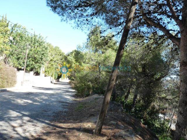 Terreno en venta en Oliva, Urbanizaciones Monte photo 0