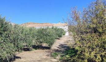 Casa con terreno en venta en Macael, Macael photo 0