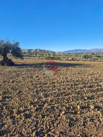 Terreno en venta en Alhaurín el Grande, POLIGONO LA ROSA photo 0