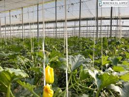 Chalet en venta en Berja, Berja photo 0