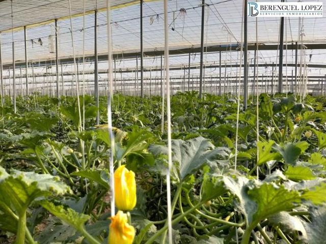 Chalet en venta en Berja, Berja photo 0