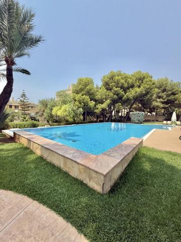 Apartamento en alquiler en Calvia, Santa Ponsa photo 0