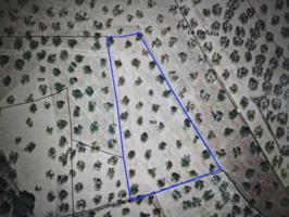 Terreno en venta en Montehermoso, Poligono 19 Parcela 568, 10810 photo 0