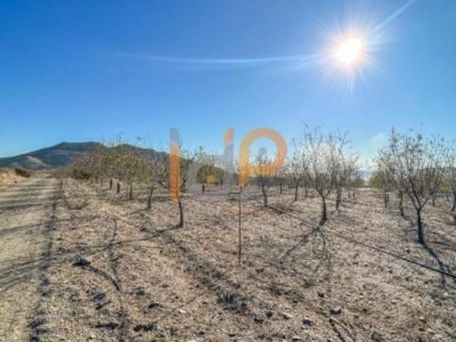 Terreno en venta en Huércal-Overa, Urcal photo 0