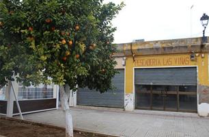 Local comercial en venta en Lora del Río, Andalucia photo 0