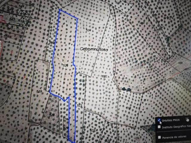 Terreno en venta en Montehermoso, Poligono 19 Parcela 526, 10810 photo 0