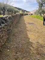 Terreno en venta en Mirabel, Calle Santa Marina, 10540 photo 0