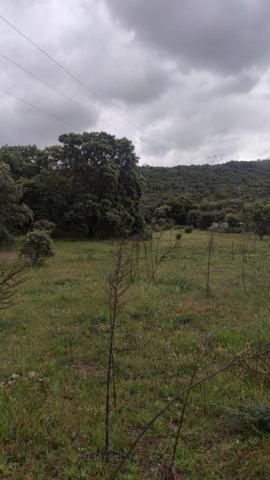 Terreno en venta en Plasencia, Valle del Jerte, 10600 photo 0