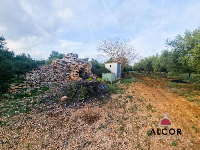 Terreno en venta en Càlig, Calig photo 0