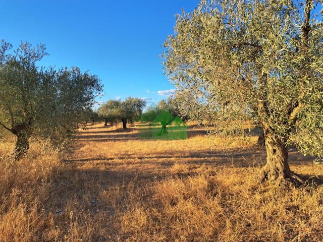 Terreno en venta en Montijo, LOS ARENALES photo 0