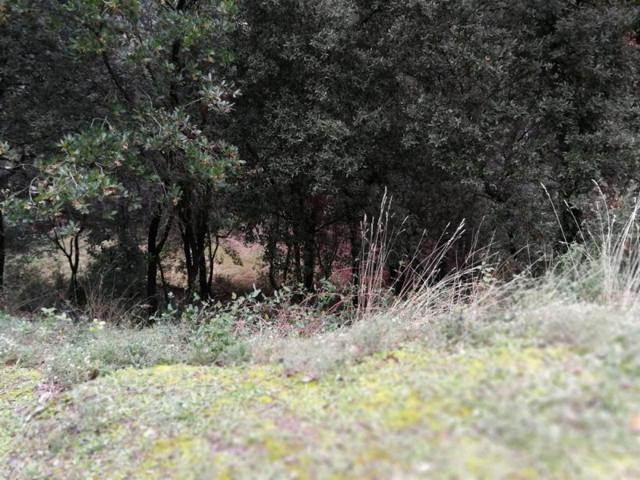 Terreno en venta en Bigues i Riells, Urbanizacion photo 0