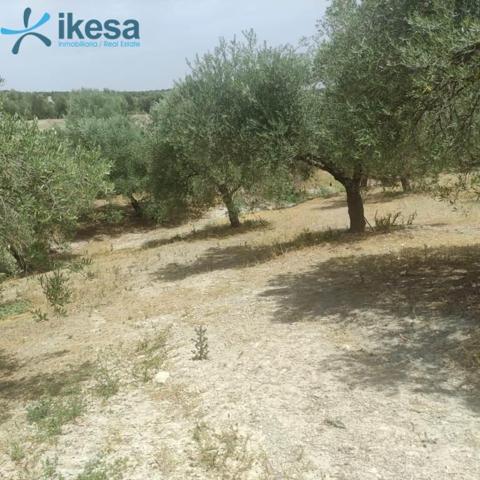 Chalet en venta en Jaén, Las infantas photo 0