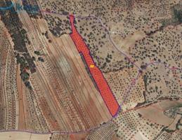 Terreno en venta en Beas, Fontanilla photo 0