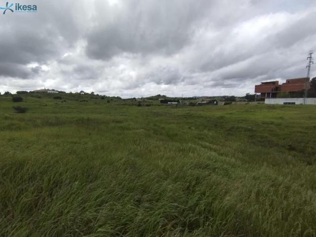 Terreno en venta en Alosno, Andalucia photo 0