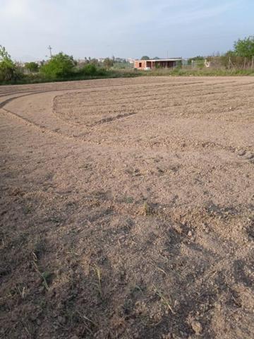 Parcela en venta en Alguazas, Las pullas photo 0