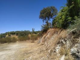 Terreno en venta en Almodóvar del Río, Cuevas bajas photo 0