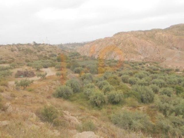 Terreno en venta en Huércal-Overa, Santa María de Nieva photo 0