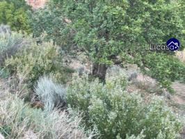 Parcela en venta en Olocau, Olocau photo 0