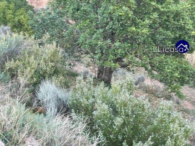 Parcela en venta en Olocau, Olocau photo 0