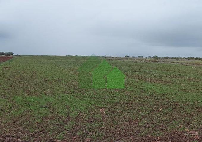 Terreno en venta en Montijo, LA CENTINELA-SAN GREGORIO photo 0
