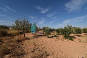 Terreno en venta en Fuente Álamo de Murcia, Cuevas de Reyllo photo 0