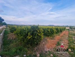 Terreno en venta en Càlig, Calig photo 0