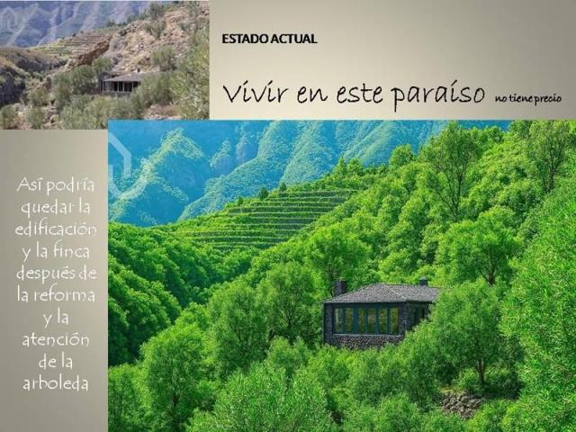 Terreno en venta en Güimar, San Pedro Arriba photo 0