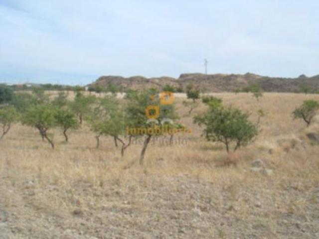 Parcela en venta en Huércal-Overa, Santa María de Nieva - La Loma photo 0