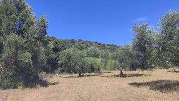 Terreno en venta en Cantallops, Cantallops photo 0