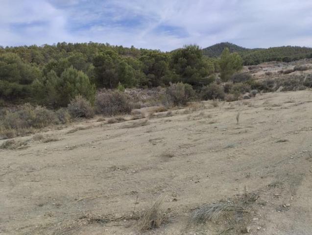 Terreno en venta en Totana, El amarguillo photo 0