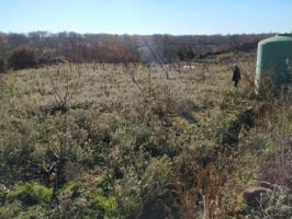 Terreno en venta en Gargüera, Gargüera, 10696 photo 0