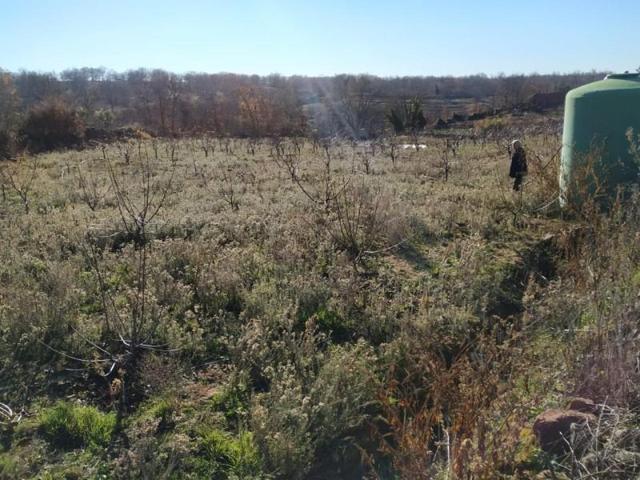 Terreno en venta en Gargüera, Gargüera, 10696 photo 0