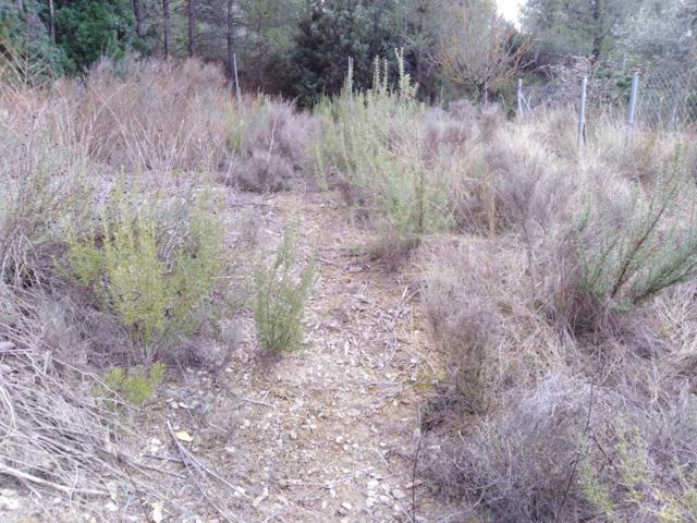 Terreno en venta en Rocafort, RIVER PARK photo 0