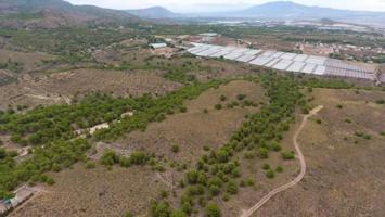 Terreno en venta en Totana, La charca photo 0