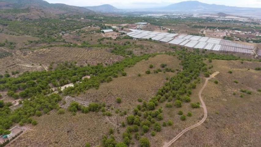 Terreno en venta en Totana, La charca photo 0