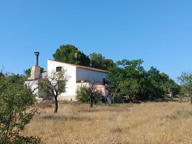 Casa con terreno en venta en Yecla, Yecla photo 0