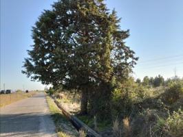 Terreno en venta en Carcaixent, Centro photo 0