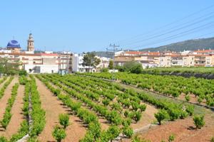 Terreno en venta en Jalon-Xalo photo 0