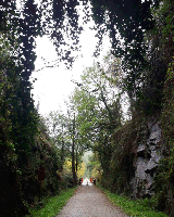 Terreno en venta en Baños de Montemayor, Avenida las Termas, 10750 photo 0