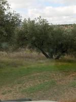 Terreno en venta en Martos, Martos photo 0