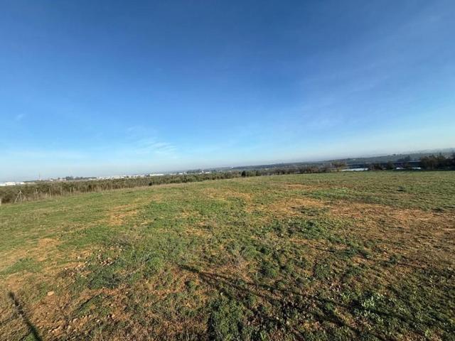 Terreno en venta en Pilas, Andalucia photo 0