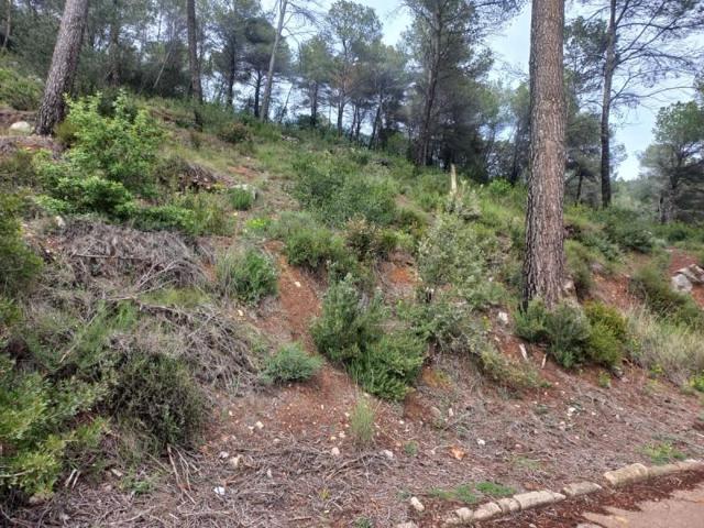 Terreno en venta en Bigues i Riells, Urbanizacion photo 0