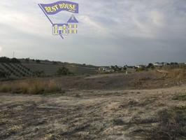 Terreno en venta en Arcos de la Frontera, Carretera arcos algar photo 0