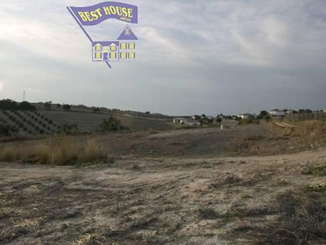 Terreno en venta en Arcos de la Frontera, Carretera arcos algar photo 0